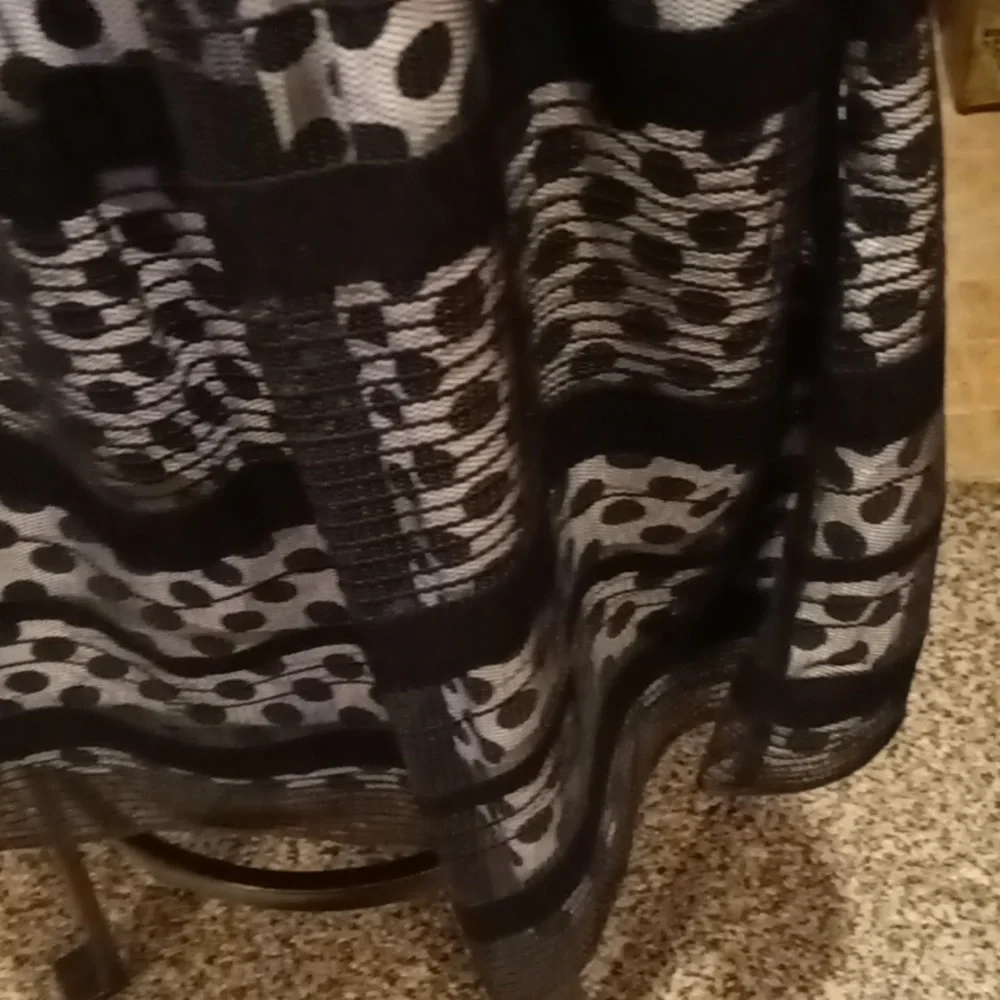 FINAL PRICE NWOT Jessica Simpson black/ white sheer polkadot dress w 20" zipper - Picture 11 of 16